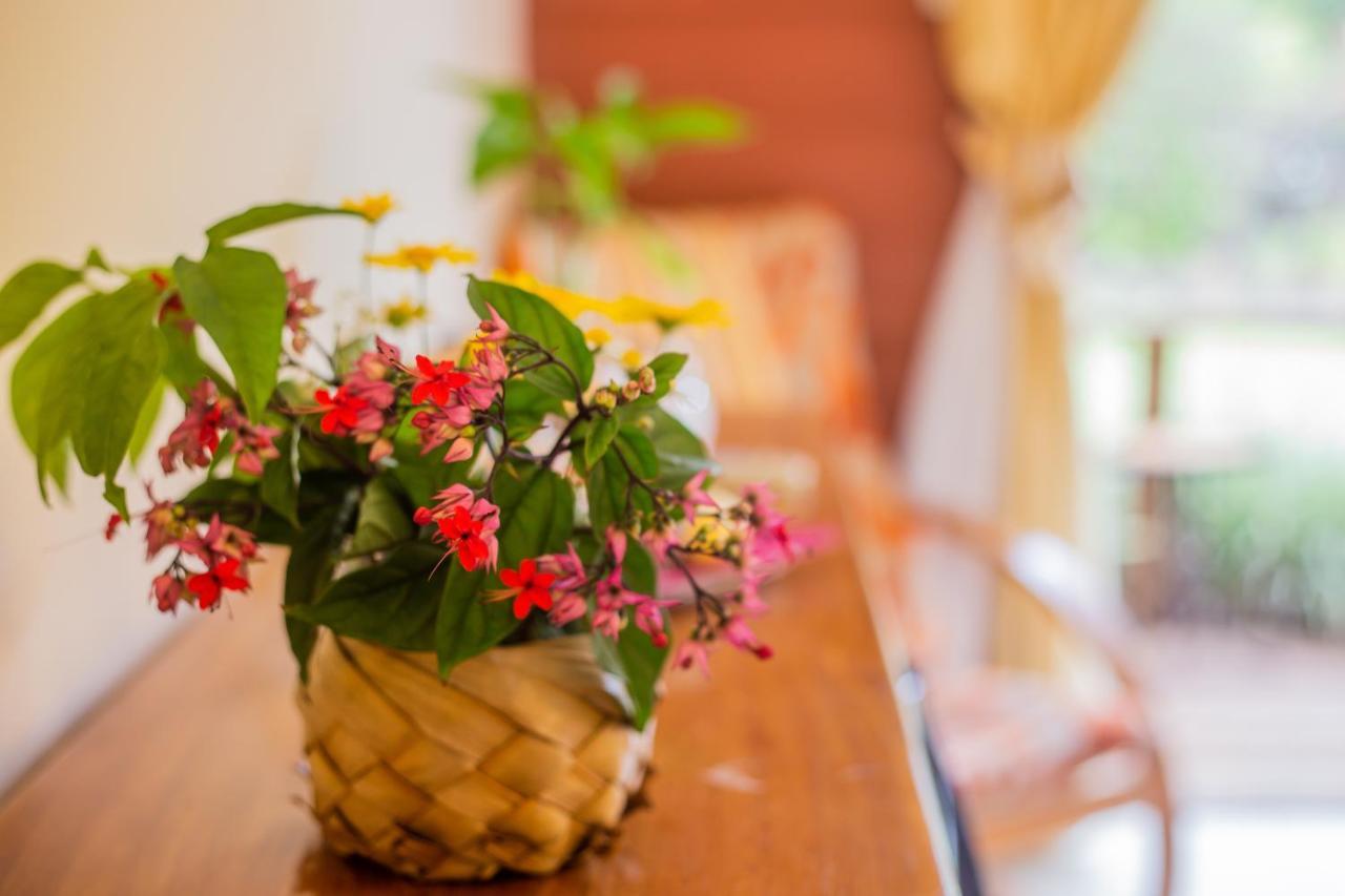Hostal Uruhao Hanga Roa Zewnętrze zdjęcie